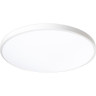 Светильник светодиодный декоративный JAZZWAY 5060906 PPB OPAL 36Вт 6500К WH d300X55 IP20 настенно-потолочный бытовой